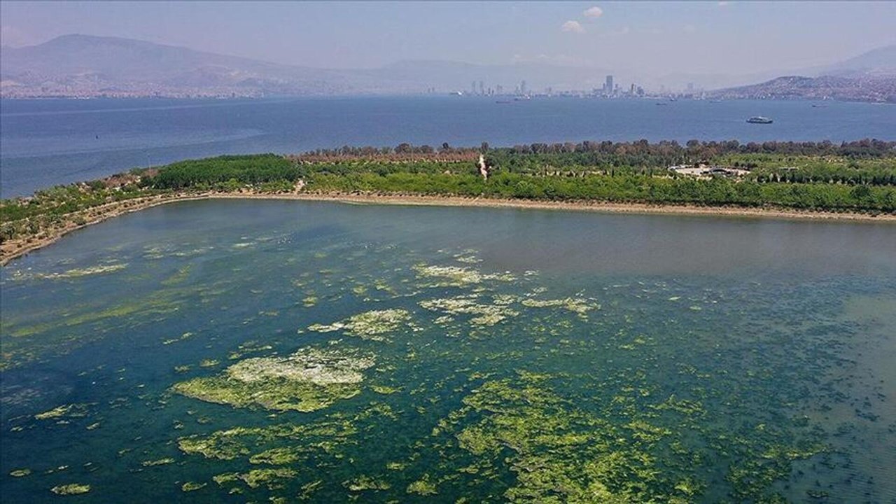 Madde madde açıklandı! İzmir Körfezi böyle temizlenecek…