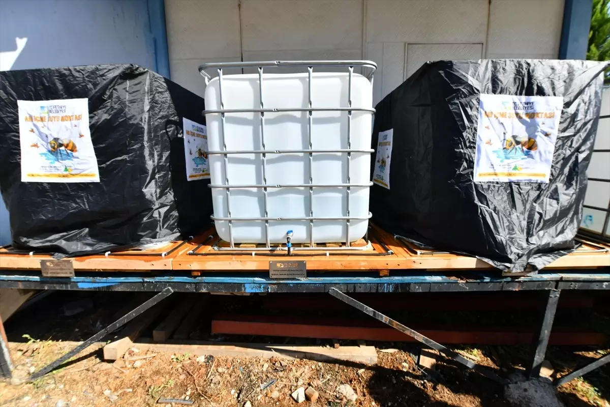 Fethiye’de Arı İçme Suyu Noktası Projesi