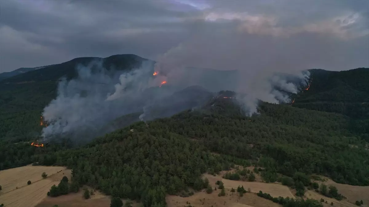 Kastamonu’da Orman Yangınlarıyla Mücadele