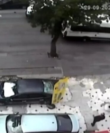 ankarada-ambulansin-carptigi-yasli-kadin-hayatini-kaybetti-nBzt5Tuc.jpg