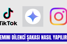 gemini-dilenci-sakasi-nasil-yapilir-1