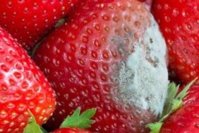 Pazardan aldığınız gibi çürümesin! Çileğin ömrünü uzatan ve derinlemesine temizleyen teknik