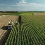 TC kimlik numarası son hanesine göre yatıyor! Mazot ve gübre desteği ödemeleri yattı mı? ÇKS 2026 Mart ayı mazot gübre desteği sorgulama ekranı