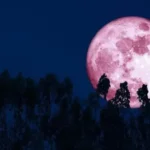 Gökyüzünde 'Pembe Dolunay' sürprizi: Pembe Dolunay nedir, gerçek mi? 2026 Pembe Ay Türkiye’den ne zaman ve saat kaçta görülecek?