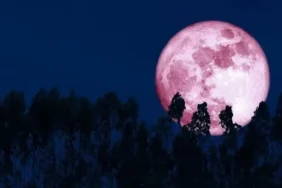 Gökyüzünde 'Pembe Dolunay' sürprizi: Pembe Dolunay nedir, gerçek mi? 2026 Pembe Ay Türkiye’den ne zaman ve saat kaçta görülecek?