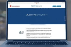 ULUSAL STAJ PROGRAMI BAŞVURU SONUÇLARI 2026! Ulusal Staj Programı (USP) sonuçları ne zaman açıklanacak, sonuç tarihi açıklandı mı?