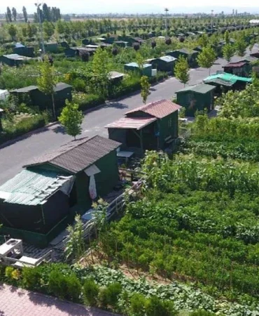 Hobi bahçeleri ne olacak? Tarlaya yapılan evler yıkılacak mı?
