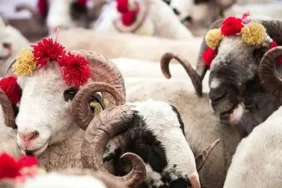 Kurban Bayramı ne zaman, hangi gün başlıyor? 2026 Kurban Bayramı tatili 9 gün olacak mı? Gözler resmi açıklamalarda