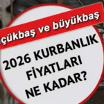 L İL GÜNCEL KURBANLIK FİYATLARI 2026! Büyükbaş ve küçükbaş kurbanlık fiyatları ne kadar, kaç TL? Koyun, keçi, dana, kuzu...