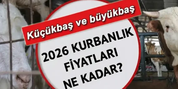 L İL GÜNCEL KURBANLIK FİYATLARI 2026! Büyükbaş ve küçükbaş kurbanlık fiyatları ne kadar, kaç TL? Koyun, keçi, dana, kuzu…