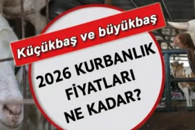 İL İL KURBANLIK FİYATLARI 2026! Büyükbaş ve küçükbaş kurbanlık fiyatları ne kadar, kaç TL? Koyun, keçi, dana, kuzu...