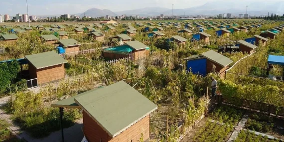 Hobi bahçeleri yasa teklifi SON DAKİKA 2026: Hobi bahçeleri yıkılacak mı? Tarım arazilerine yapılan evler, hobi bahçeleri yıkılacak mı?