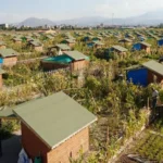 Hobi bahçeleri SON GELİŞMELER 2026: Hobi bahçeleri yıkılacak mı? Tarım arazilerine yapılan evler, hobi bahçeleri yıkılacak mı?