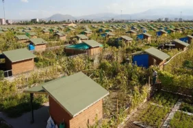 Hobi bahçeleri SON GELİŞMELER 2026: Hobi bahçeleri yıkılacak mı? Tarım arazilerine yapılan evler, hobi bahçeleri yıkılacak mı?