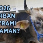 KURBAN BAYRAMI TARİHLERİ: 2026 Kurban Bayramı ne zaman, hangi tarihte? Kurban Bayramı tatili kaç gün, 9 gün olacak mı?