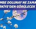 PEMBE DOLUNAY GELİYOR! Baharın habercisi Pembe Dolunay ne zaman, saat kaçta görülecek, Türkiye'den izlenecek mi?