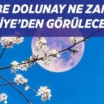 PEMBE DOLUNAY TARİHİ: Baharın habercisi Pembe Dolunay ne zaman, saat kaçta görülecek, Türkiye'den izlenecek mi?