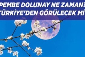 PEMBE DOLUNAY TARİHİ: Baharın habercisi Pembe Dolunay ne zaman, saat kaçta görülecek, Türkiye'den izlenecek mi?