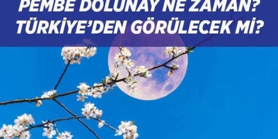 PEMBE DOLUNAY TARİHİ: Baharın habercisi Pembe Dolunay ne zaman, saat kaçta görülecek, Türkiye’den izlenecek mi?