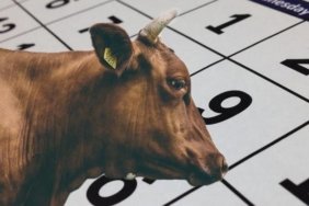 KURBAN BAYRAMI TATİLİ NE ZAMAN? Bayram tatili 9 gün olur mu? 2026 Kurban Bayramı tarihi ve tatili