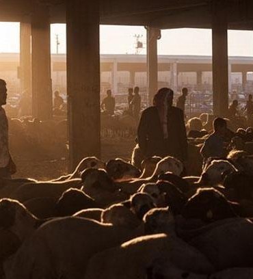 DİYANET KURBAN BAYRAMI TAKVİMİ || 2026 Kurban Bayramı ne zaman, hangi güne denk geliyor? Kurban Bayramı tatili kaç gün, 9 gün olacak mı?