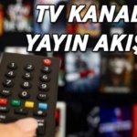 6 NİSAN TV YAYIN AKIŞI LİSTESİ | Bu akşam TV'de hangi dizi ve filmler ekrana gelecek? Kanal D, ATV, Show TV, STAR TV, TRT 1, TV8, NOW TV kanal yayın akışı listesi...