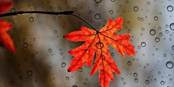 HAVA DURUMU SON DAKİKA İSTANBUL: Bugün hava nasıl, yağış var mı? Yağışlar kaç gün sürecek? Meteoroloji son dakika hava durumu