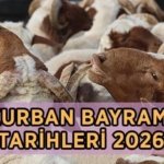 YILIN İKİNCİ DİNİ BAYRAMI! Kurban Bayramı ne zaman, hangi güne denk geliyor? 2026 Kurban Bayramı tatili kaç gün, 9 gün olacak mı?