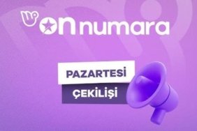 On Numara sonuçları bugünkü çekiliş kazandıran numaralar: 13 Nisan 2026 On Numara çekiliş sonuçları sorgulama ekranı