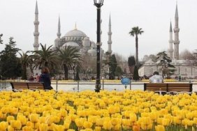 İstanbul Lale Festivali başladı! 2026 İstanbul Lale Festivali ne zaman? İstanbul Lale Festivali nerede yapılacak?