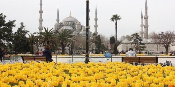 İstanbul Lale Festivali başladı! 2026 İstanbul Lale Festivali ne zaman? İstanbul Lale Festivali nerede yapılacak?