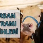 KURBAN BAYRAMI NE ZAMAN 2026? Kurban Bayramı tatili kaç gün? Diyanet Kurban Bayramı takvimi