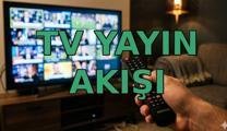 14 NİSAN SALI TV YAYIN AKIŞI LİSTESİ 📺 Bu akşam hangi diziler var? Kanal D, Show TV, TRT1, ATV, Star TV, Now TV, TV8 yayın akışı tamamı
