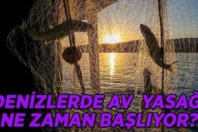 Balıklara av yasağı ne zaman başlıyor? Denizlerde balık yasağı dönemi ne zaman bitecek 2026?