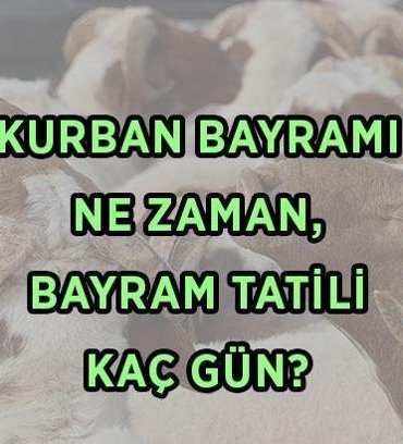 YILIN İKİNCİ DİNİ BAYRAMI! 2026 Kurban Bayramı ne zaman, hangi tarihlerde? Bayram tatili 9 güne uzatılacak mı, hafta sonu ile birleşir mi?