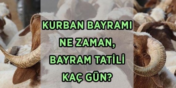 YILIN İKİNCİ DİNİ BAYRAMI! 2026 Kurban Bayramı ne zaman, hangi tarihlerde? Bayram tatili 9 güne uzatılacak mı, hafta sonu ile birleşir mi?