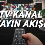 19 NİSAN TV YAYIN AKIŞI | TRT 1, Kanal D, ATV, Show TV, Star TV, NOW TV, TV8 kanal yayın akışı listesi! Bu akşam TV'de hangi dizi ve filmler var?