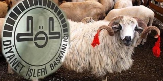 VEKALETLE KURBAN KESİM BEDELİ 2026 belli oldu! Diyanet duyurdu: Vekalet yoluyla kurban kesim bedeli ne kadar? Yurt içi ve yurt dışı fiyatları…
