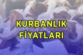 DİYANET VEKALETEN KURBANLIK FİYATLARI 2026: Büyükbaş ve küçükbaş kurbanlık canlı kilo fiyatları ne kadar? Diyanet vekaletle kurban kesim bedeli bu yıl kaç TL?