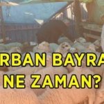 KURBAN BAYRAMI 2026 TATİLİ 9 GÜNE UZAYACAK MI? Bayram tatili hafta sonu ile birleşecek mi? Kurban Bayramı ne zaman, hangi gün?