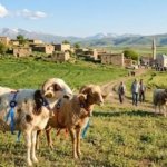 Bayram Tatili Ne Zaman, Bayram Tatili Kaç Gün Olacak? 2026 Kurban Bayramı Tatili 9 Gün Mü, Ne Zaman Başlıyor, Ne Zaman Bitiyor?