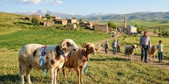 BAYRAMA GERİ SAYIM… KURBAN BAYRAMI TATİLİ 9 GÜN OLDU MU, KAÇ GÜN? 2026 Kurban Bayramı ne zaman, hangi tarihe denk geliyor? İşte bayramın başlangıcı ve bitişi