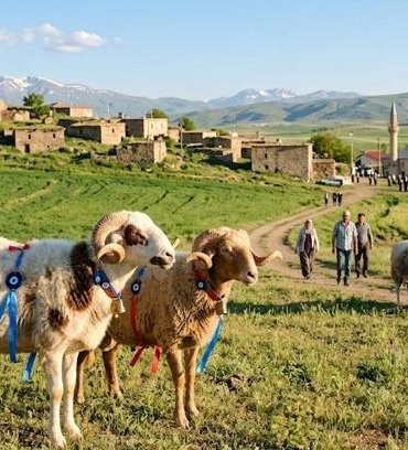 Bayram Tatili Ne Zaman, Bayram Tatili Kaç Gün Olacak? 2026 Kurban Bayramı Tatili 9 Gün Mü, Ne Zaman Başlıyor, Ne Zaman Bitiyor?