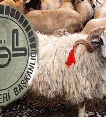 KURBAN BAYRAMI NE ZAMAN 2026? Diyanet Kurban Bayramı tatili kaç gün? Kurban Bayramı'na kaç gün kaldı?