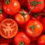 Domateslerin ömrünü uzatan sır: Saplarını sakın koparmayın!