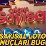 ÇILGIN SAYISAL LOTO SONUÇLARI: Çılgın Sayısal Loto sonuçları kazandıran numaralar