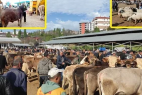 Diyanet 2026 vekalet kurban fiyatları açıklandı: Yurt içi ve yurt dışı hisse bedeli ne kadar?