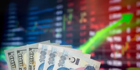 TÜİK verileri açıklandı: O araçlara yatırım yapanlar yıl boyunca kazanç sağladı