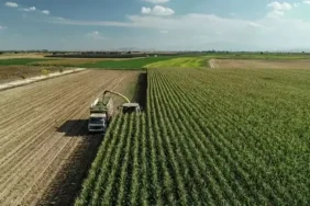 TC kimlik numarası son hanesine göre yatıyor! Mazot ve gübre desteği ödemeleri yattı mı? ÇKS 2026 Nisan ayı mazot gübre desteği sorgulama ekranı