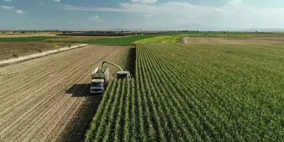 TC kimlik numarası son hanesine göre yatıyor! Mazot ve gübre desteği ödemeleri yattı mı? ÇKS 2026 Nisan ayı mazot gübre desteği sorgulama ekranı